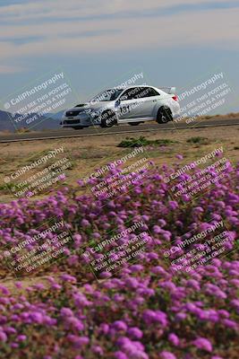 media/Jan-08-2023-SCCA SD (Sun) [[8f6a5b9391]]/Intermediate Group/Session 2 (Short Straight)/